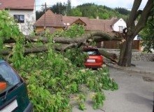 Kwikfynd Tree Cutting Services
barklytableland