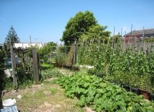 Kwikfynd Vegetable Gardens
barklytableland